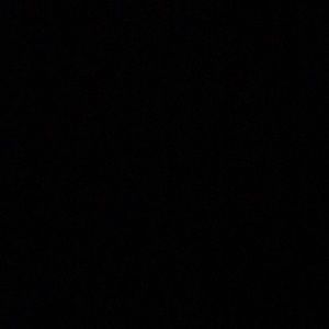 Meet your Posher, Ricky